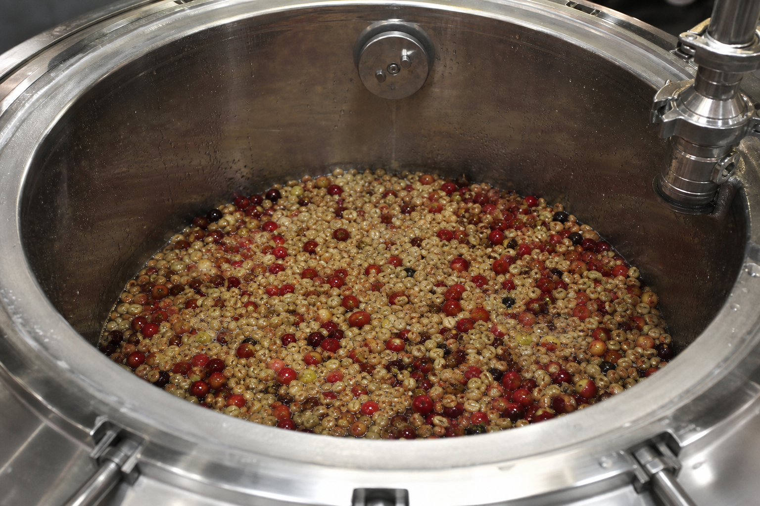 Anaerobic coffee processing: oxygen-free flavor