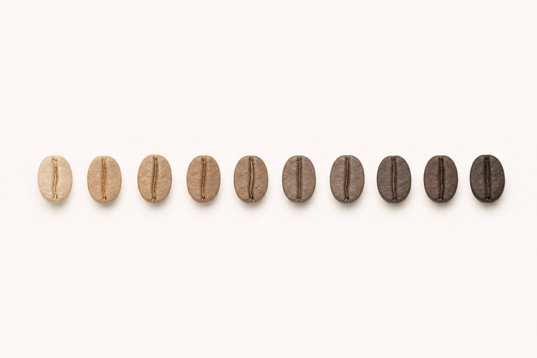 Light roast vs dark roast coffee