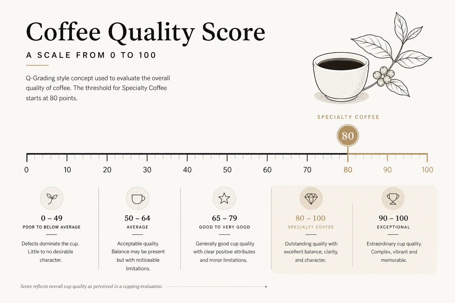 The real definition of specialty coffee