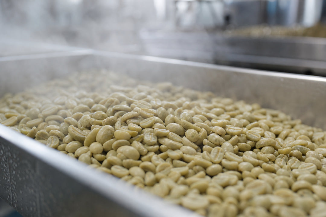 Impact of decaf processing on coffee flavor