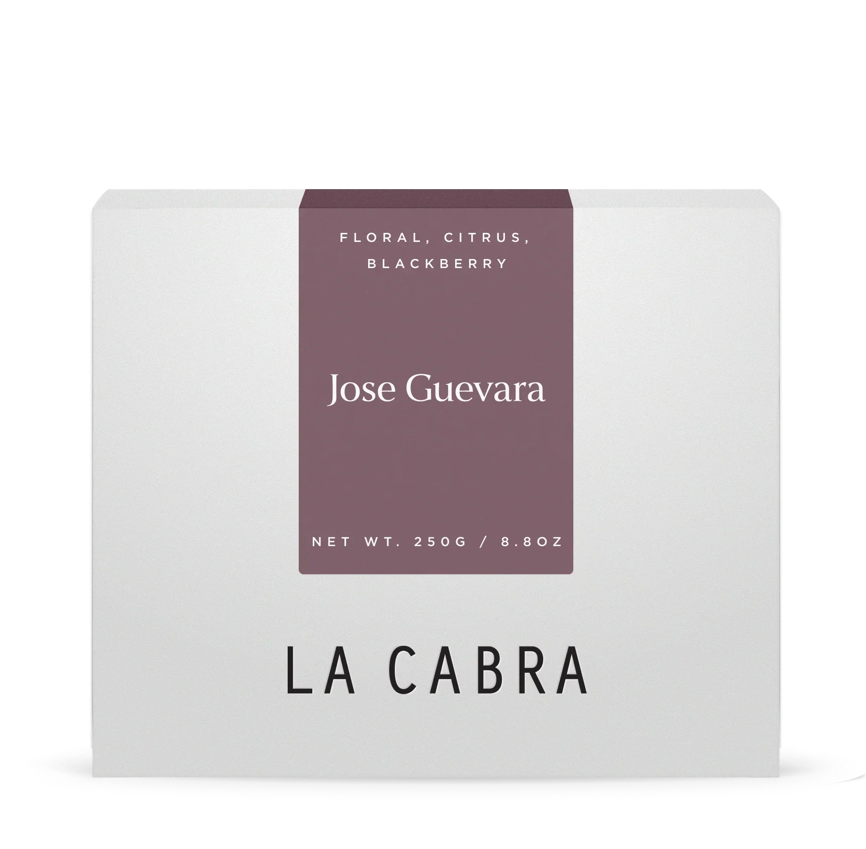 Jose Guevara
