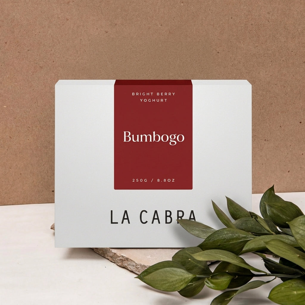 Bumbogo