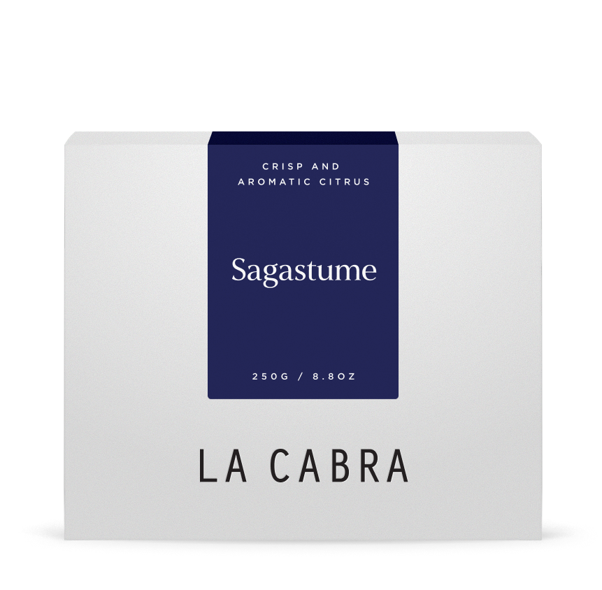 Sagastume Washed Parainema