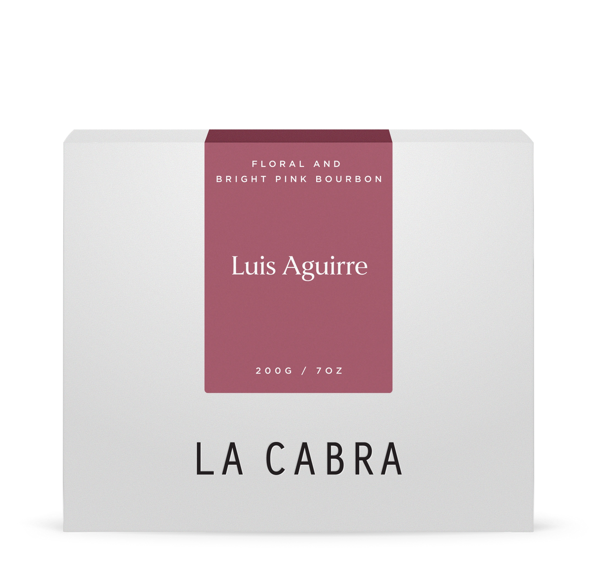 Luis Aguirre