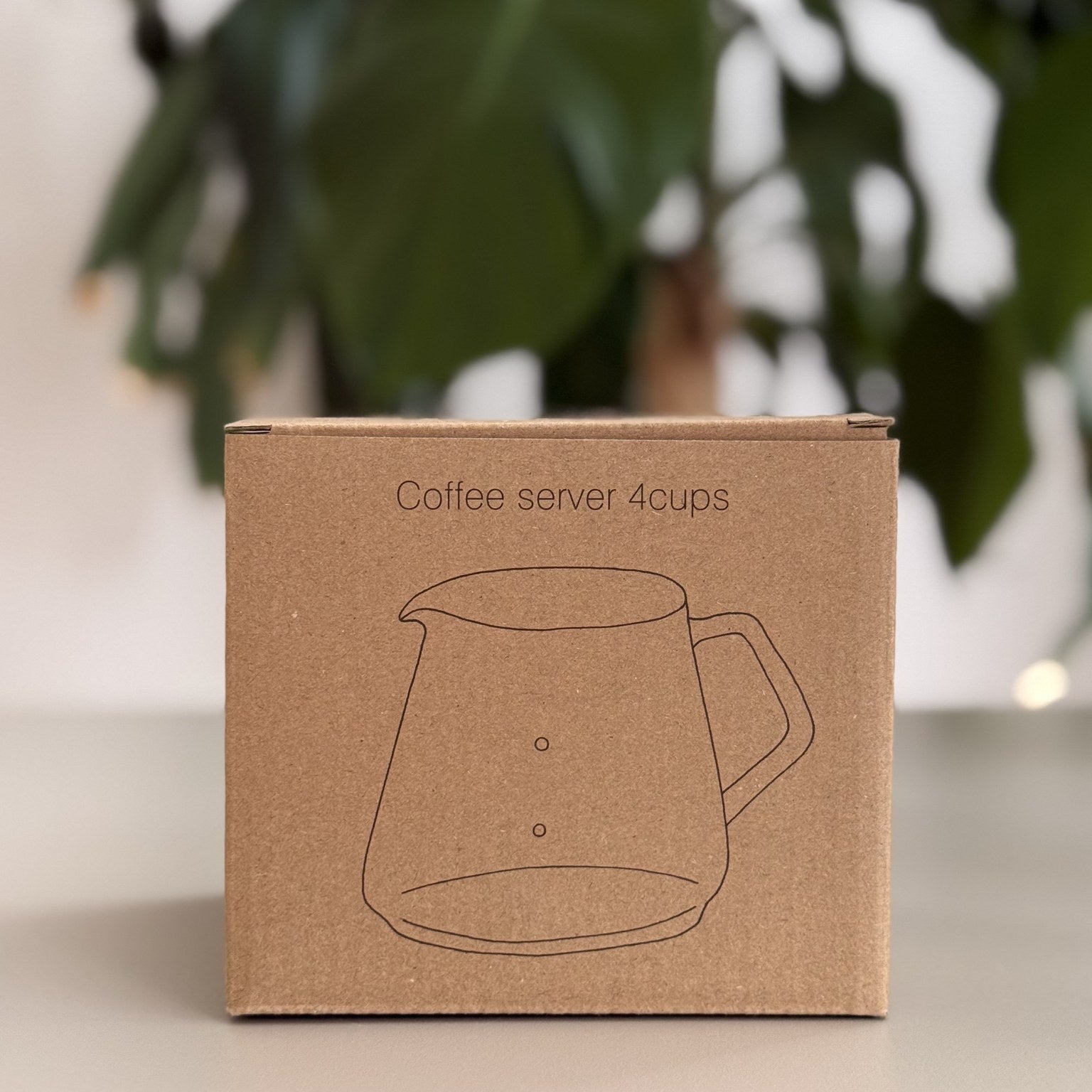 Kinto SCS coffee server packaging
