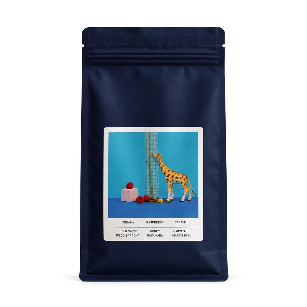 Morgon Coffee Roasters Diego Baraona El Salvador Honey coffee bag on white background