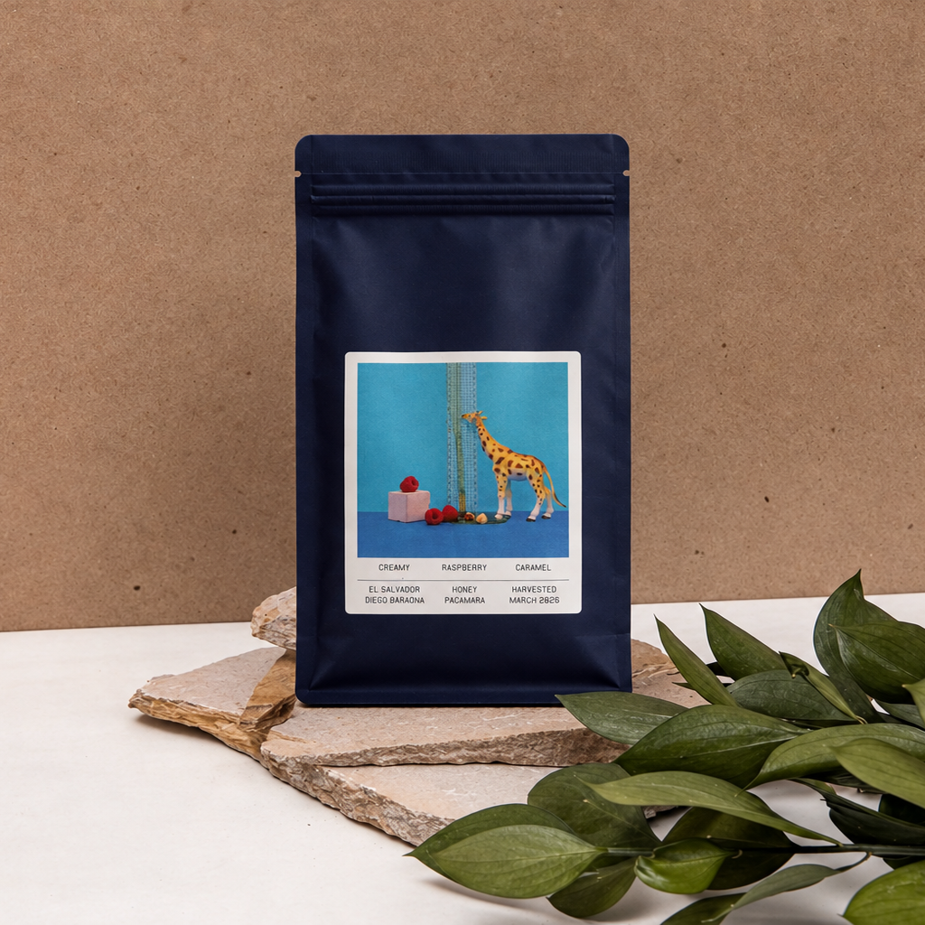 Morgon Coffee Roasters Diego Baraona El Salvador Honey coffee bag on kraft backdrop