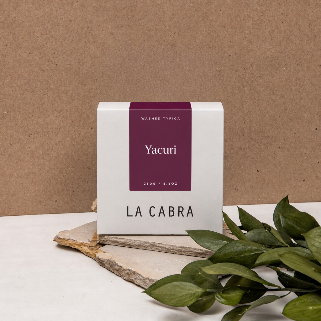 Yacuri